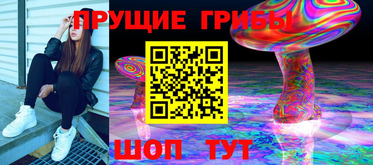 Галлюциногенные грибы прущие грибы Волгодонск
